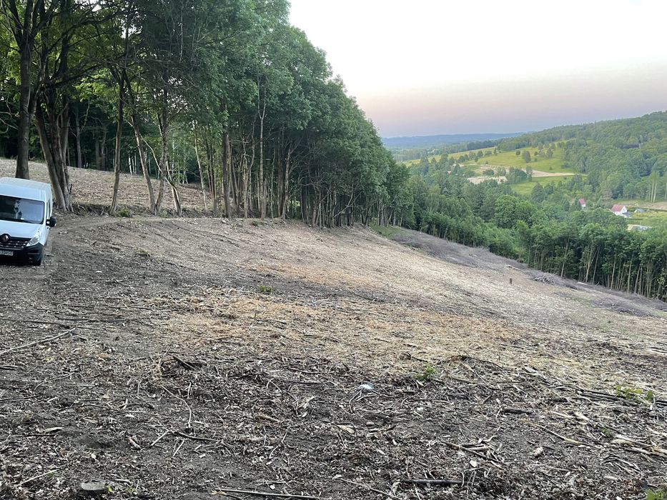 Mulczowanie karczowanie wycinka czyszczenie działek