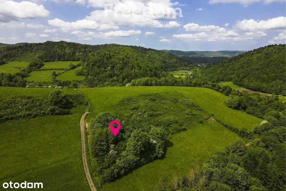 Działka na stoku, Mchawa, Bieszczady