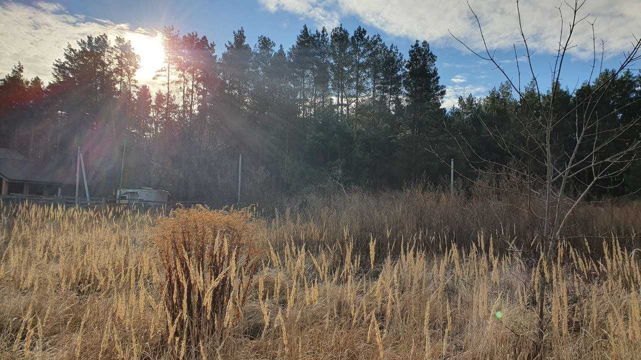 Земельна ділянка біля лісу Білогородка