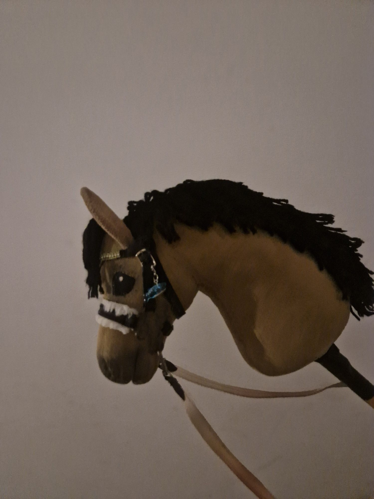 Hobby horse hodowli kll