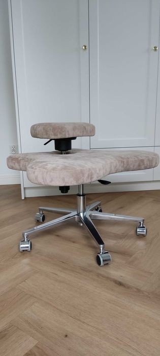 Krzesło Dragonfly Chair Comfort Silver Base krzesło ortopedyczne