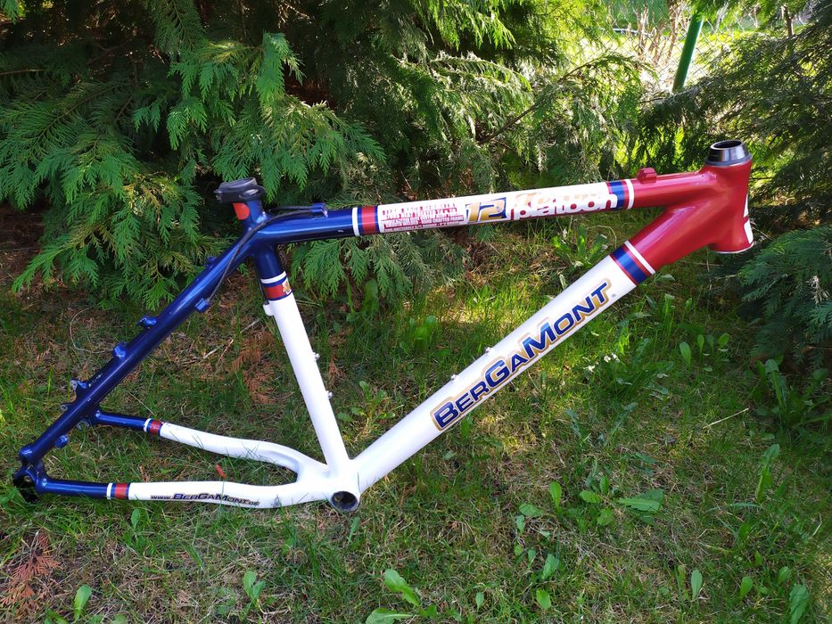 BERGAMONT PLATOON TEAM rama Alu Roz.19  Elite Custom Alloy FSA Polecam