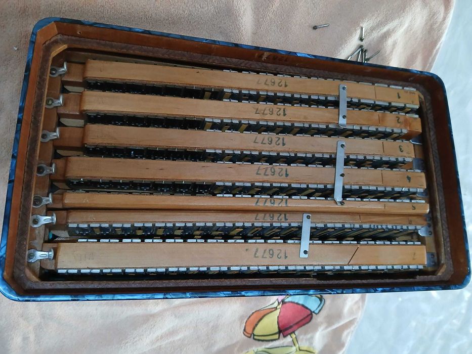 Acordeon Cavagnolo Vedette 10