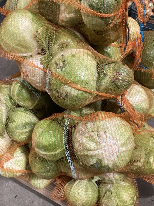 KAPUSTA dla zwierząt, odpadowa paszowa