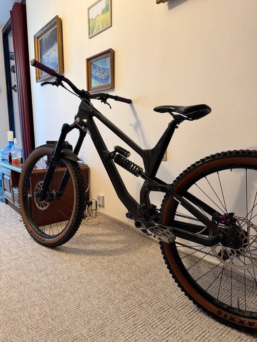 Canyon Torque CF8.0 2019