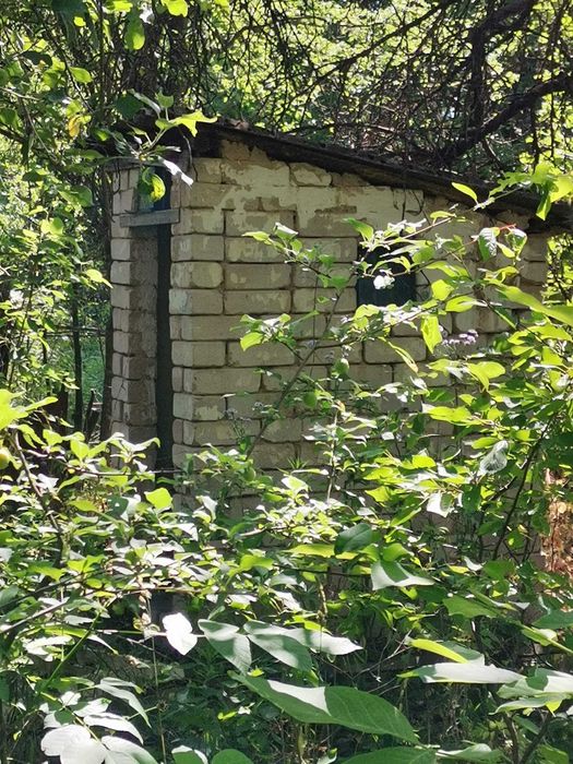 Дача, дом, садиба, земля с. Буки (Тетеревский массив), Житомир, Хозяин