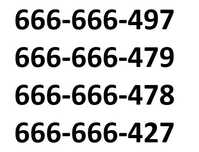 Złoty Platynowy Dobry Firma Biznes VIP Łatwy Prosty 666 666  IDEAL