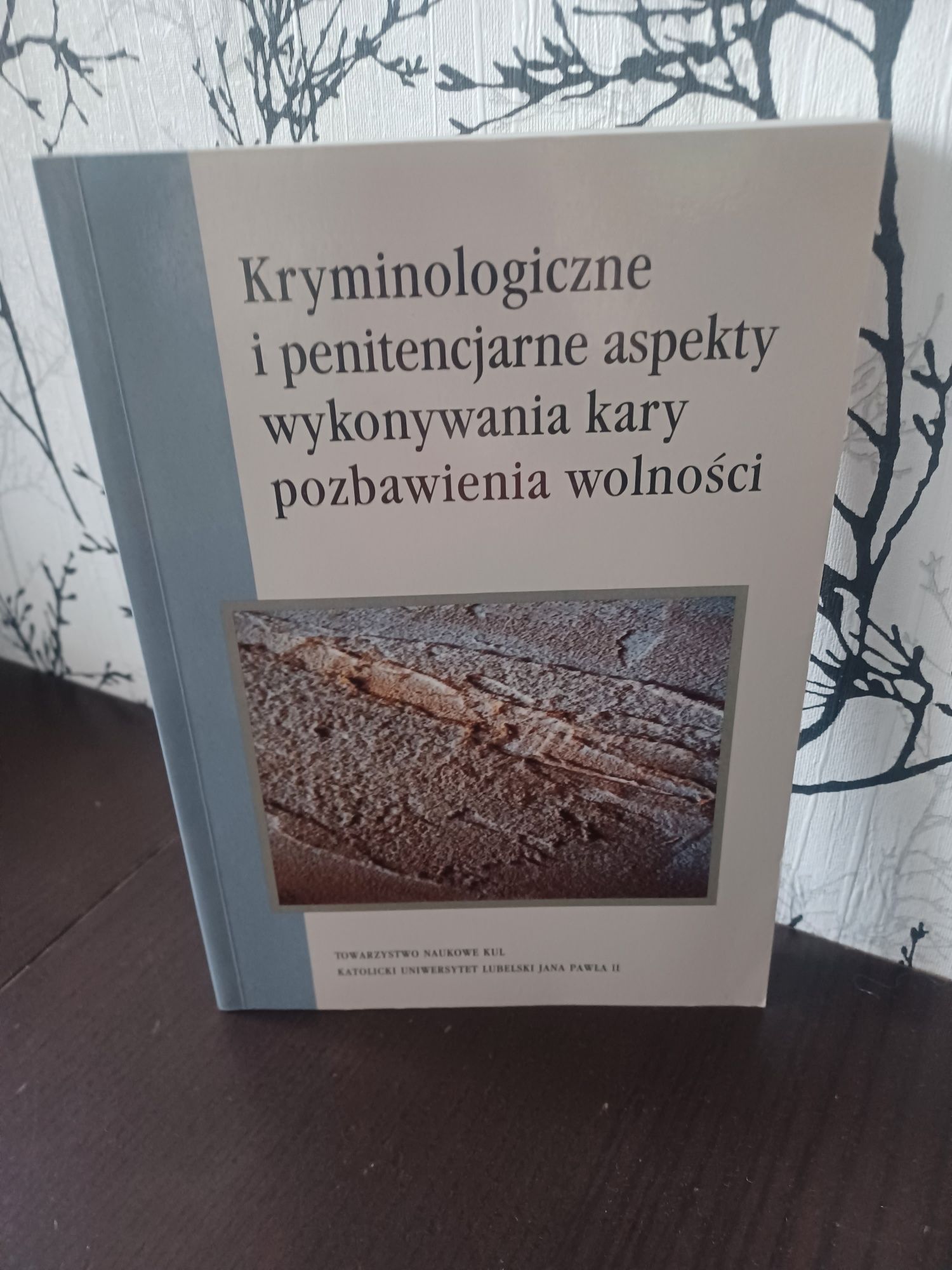 Kryminologiczne i penitencjarny aspekty wykonywania kary pozbawienia w