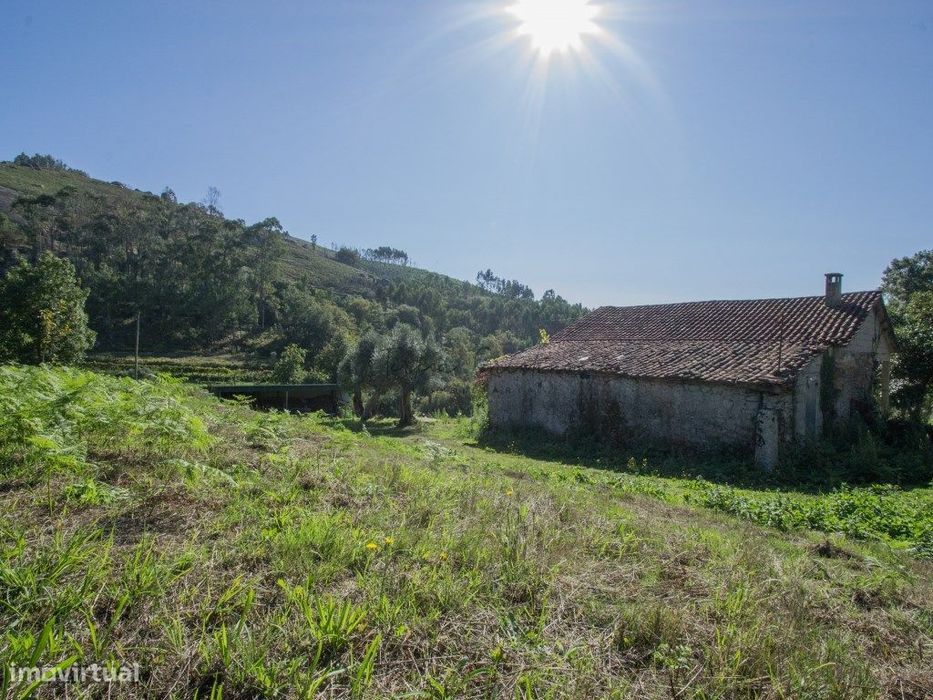 Quintinha com 30.000 m² e ruína em Anais, Ponte de Lima