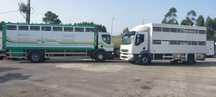 Volvo LF