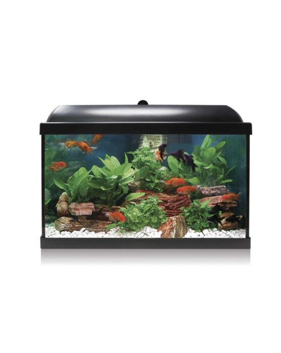 Aquario com Led 38 Litros NOVO - LOJA !!