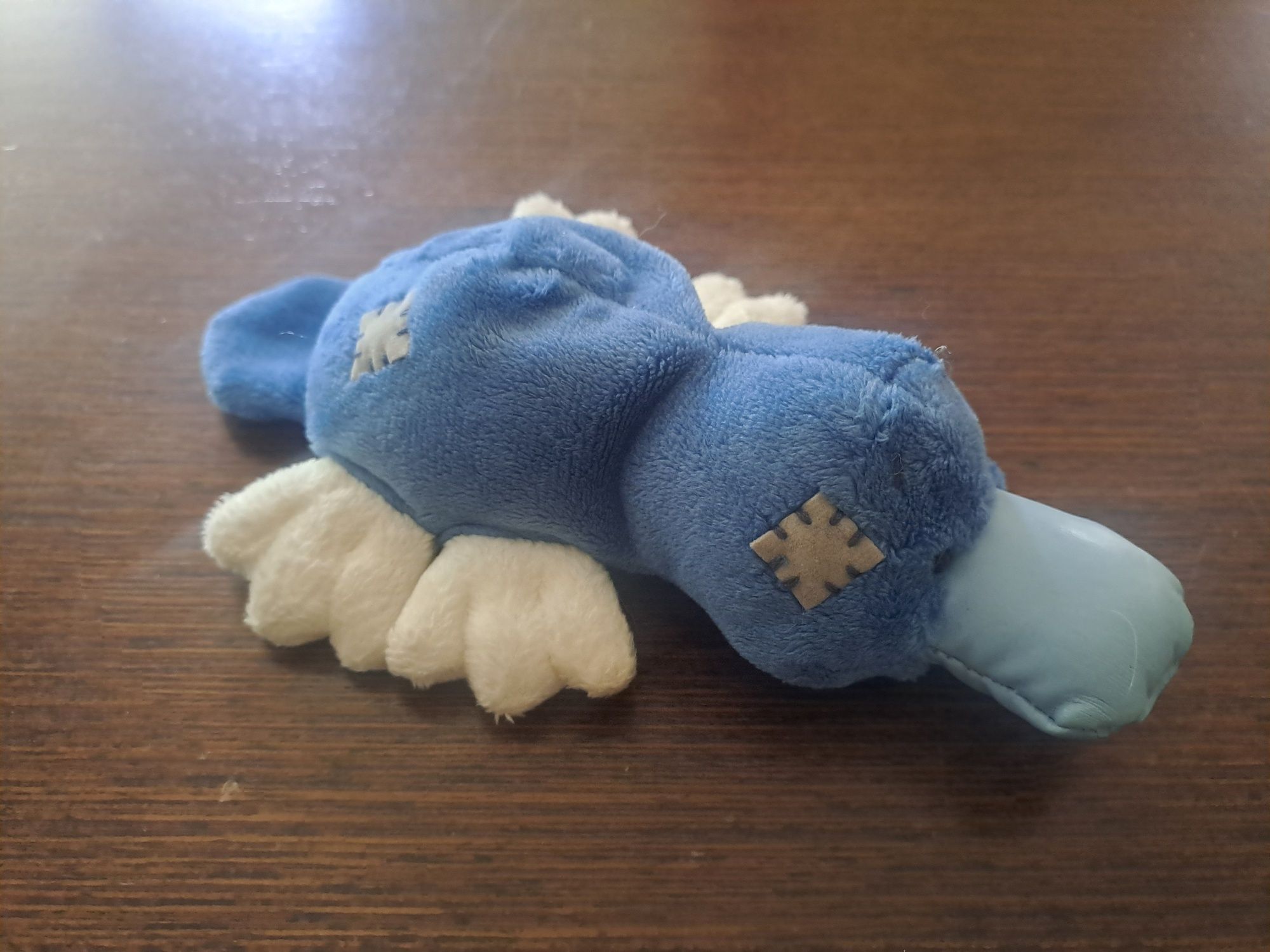 Maskotka dziobak Blue Nose