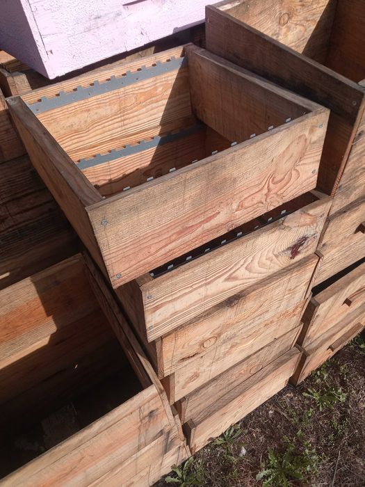 Colmeias com enxames eutros equipamentes