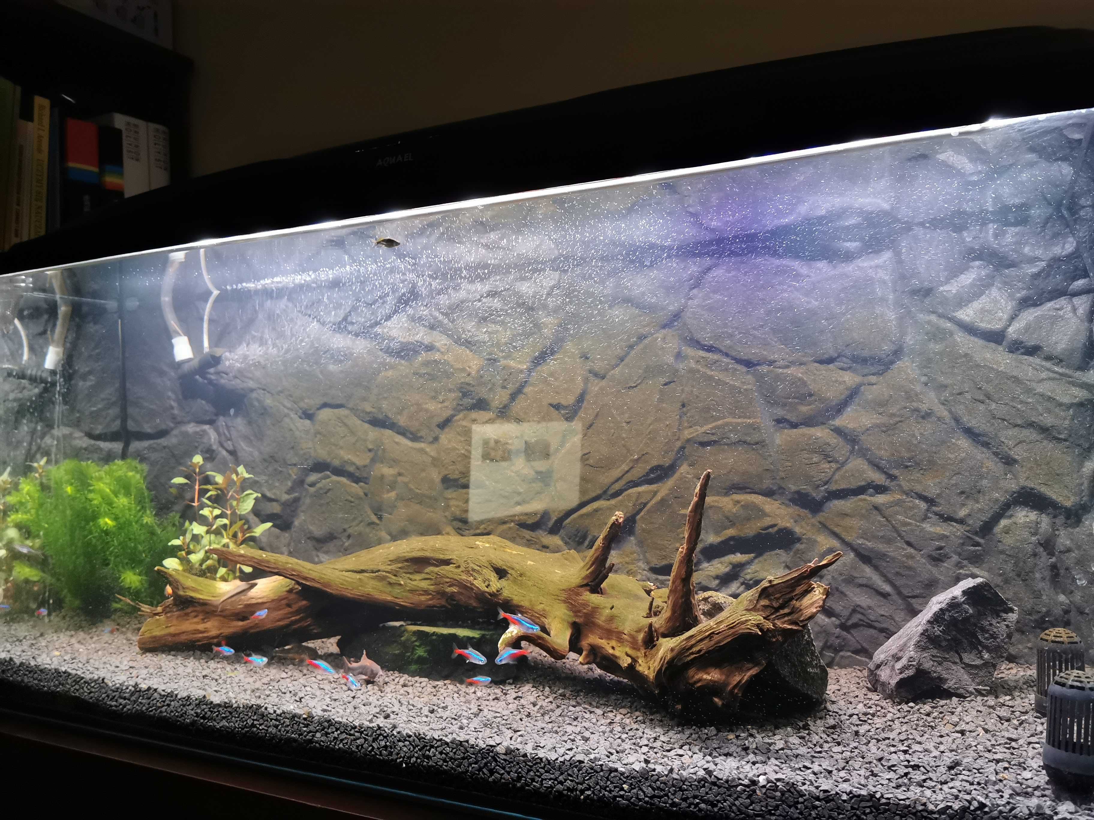 Akwarium 240L | rozmiar 120x40x50 + pokrywa + oświetlenie + tło 3D