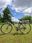 Rowek elektryczny SPARTA ION L 50/28''