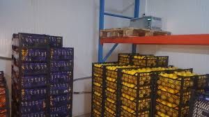 Оренда склад-холодильна камера