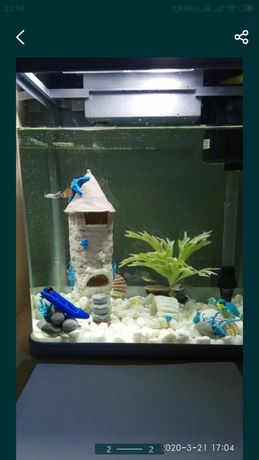 Продам аквариум с декором!