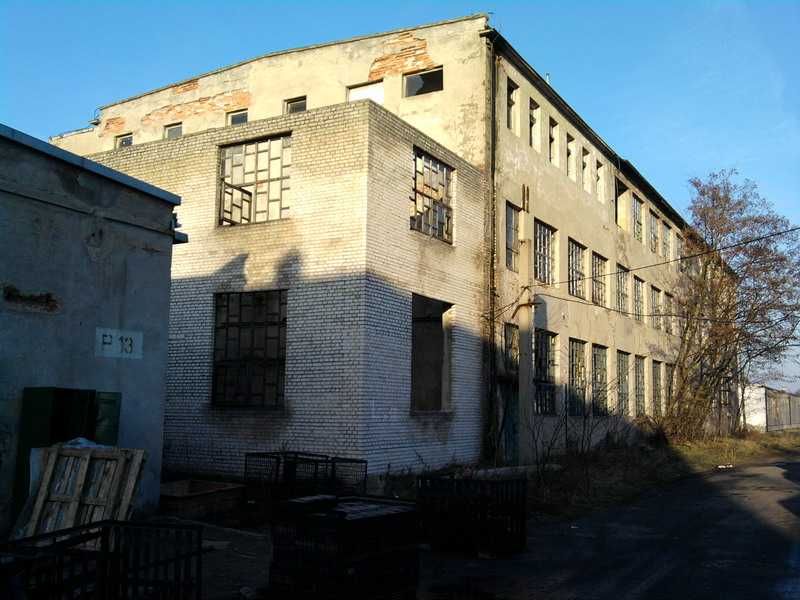 Do wynajęcia hala magazynowo - biurowa 700m2, Wola Krzysztoporska