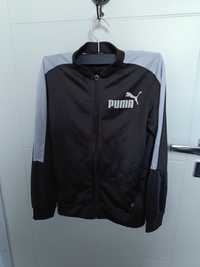 Bluza puma 11-12 lat 152