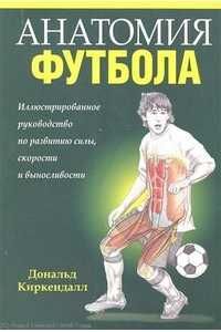 Анатомия разных видов спорта: бег, футбол, растяжка, триотлон...