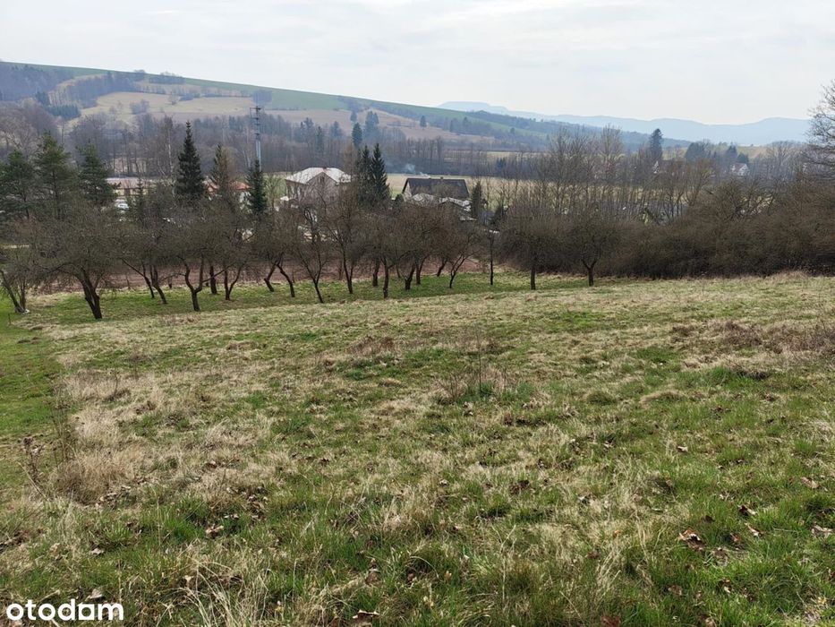 Duża działka  3400m2 | Sad + widok na Góry Stołowe | Tłumaczów