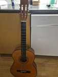 Gitara Lucida axl 5107