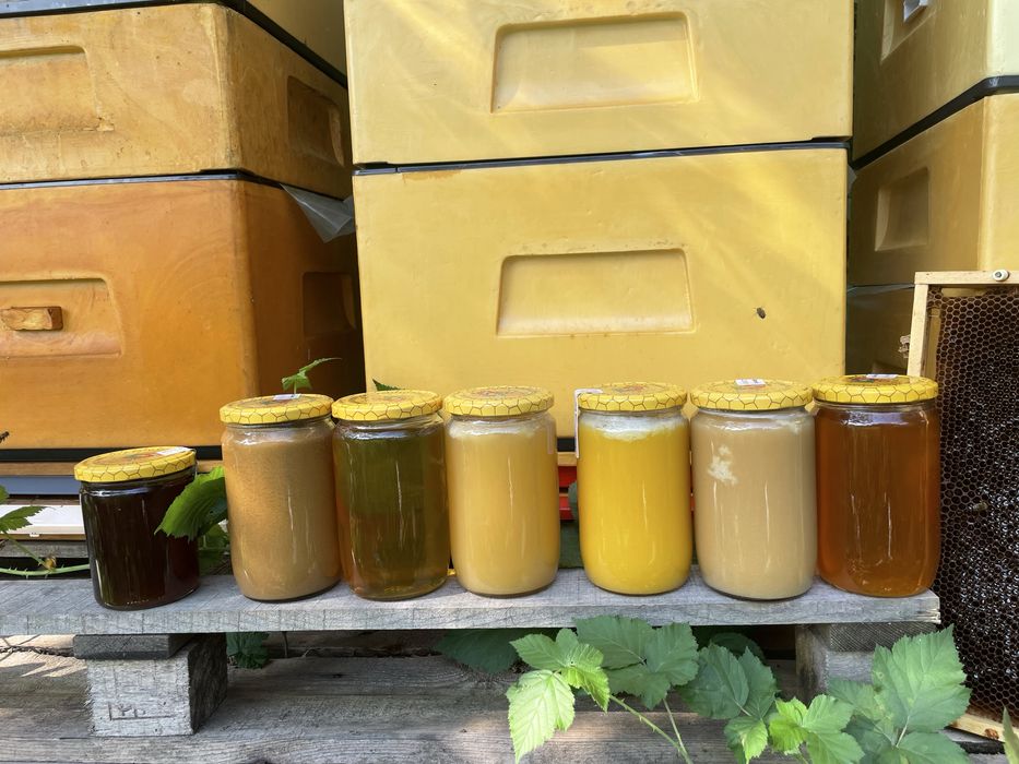 Miód miody z rodzinnej pasieki z dosrawa miody kremowane