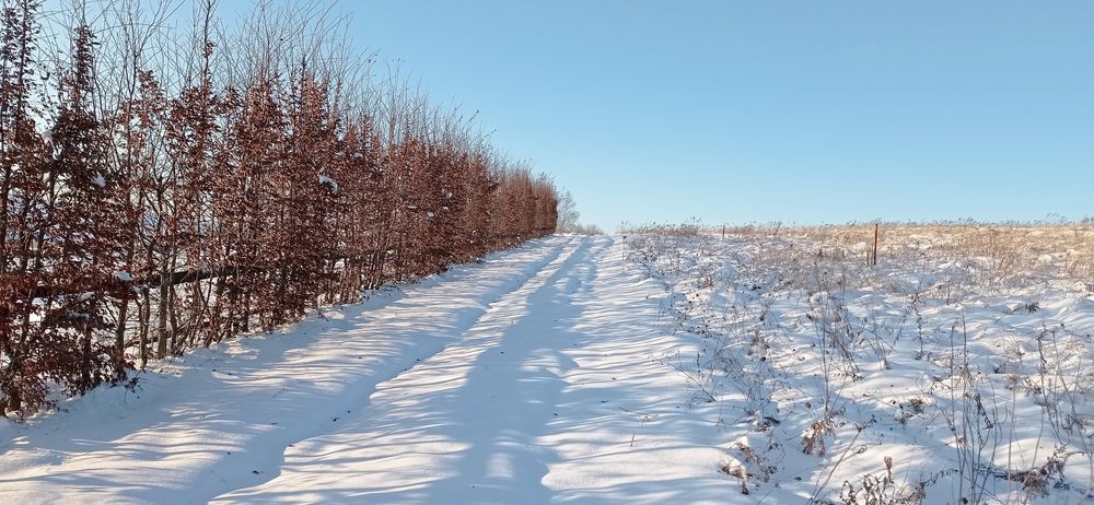 Ділянка 10сот.с.Селисько 14км.до м.Львів Солонківське ОТГ