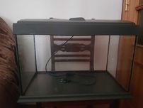 Aquário | 60 L |Com aquecedor, Filtro e Iluminação