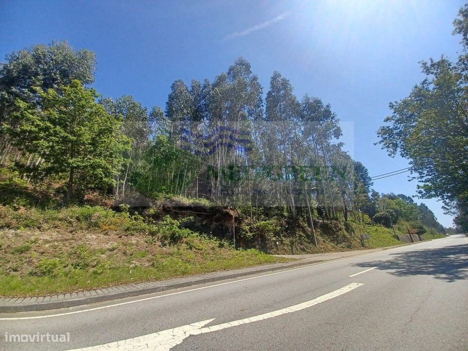 Terreno Para Construção | Dornelas -Sever Do Vouga