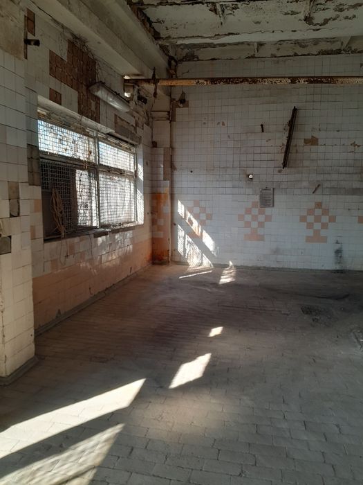 Вывезу куп. хлам, отходы.Вывоз мусора. Уборка территорий. Покос травы