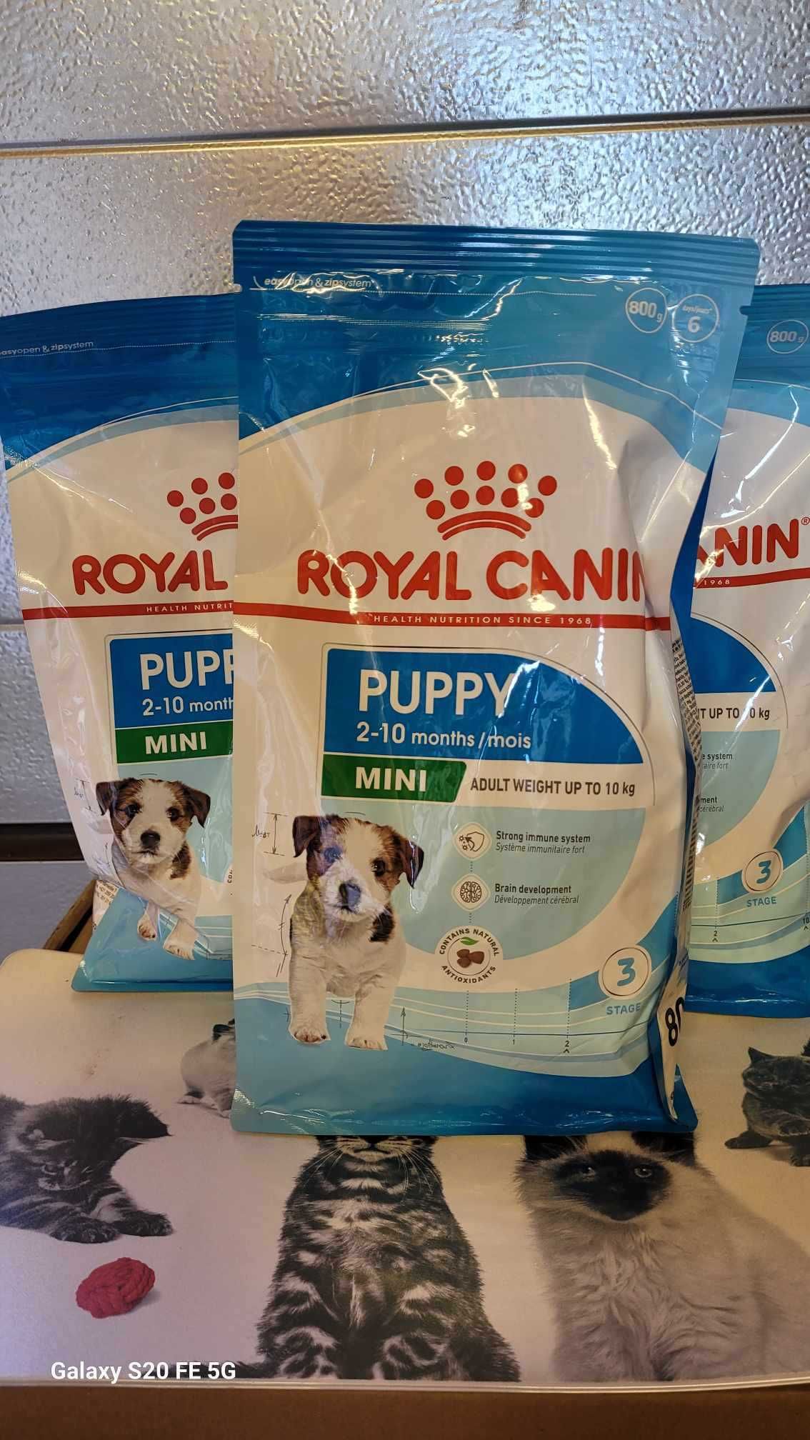 Royal Canin Mini Puppy 4 kg Karma Dla Szczeniąt Ras Małych WYPRZEDAŻ