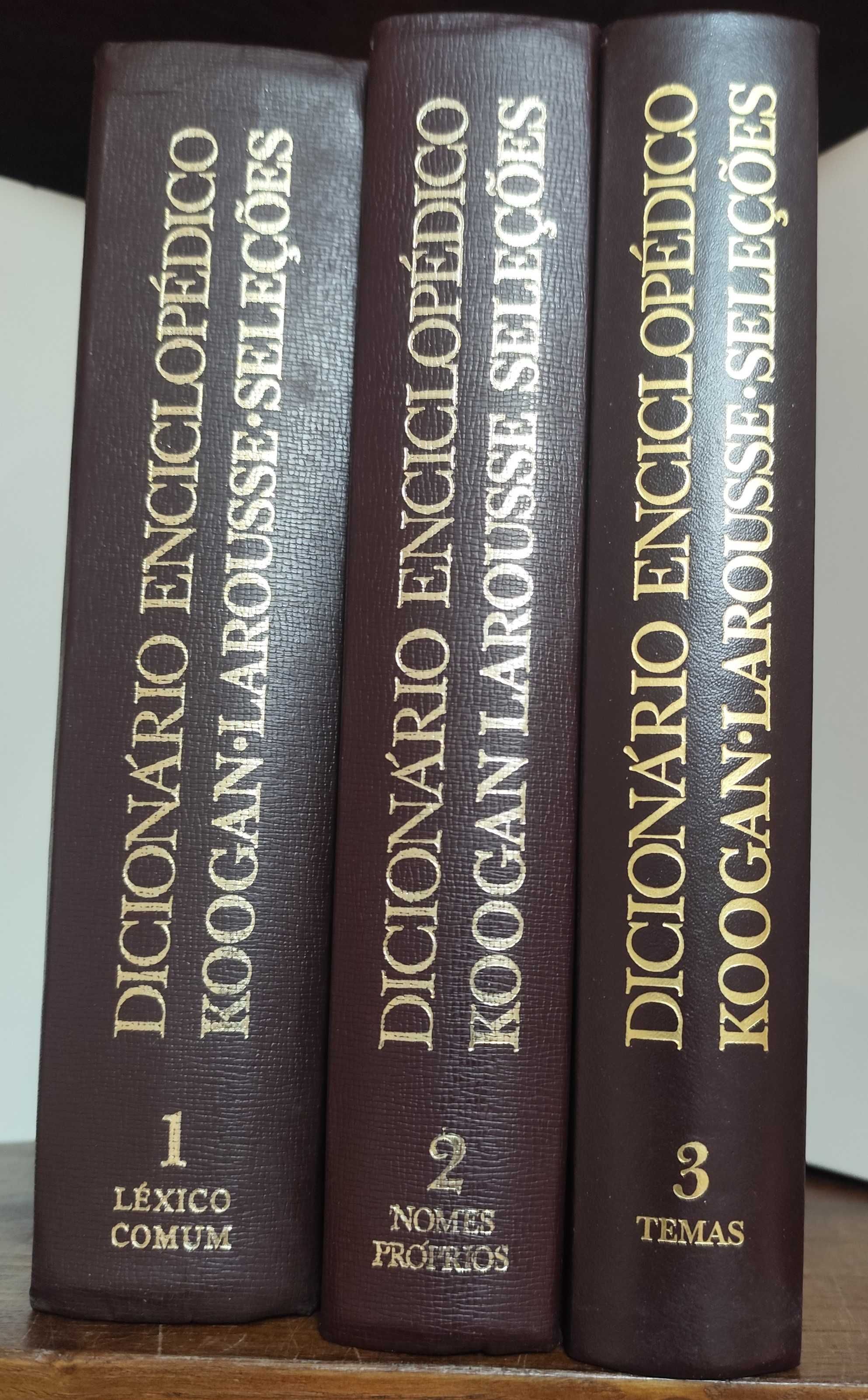 Dicionário Enciclopédico KOOGAN LAROUSSE SELEÇÕES