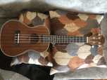 Ukulele usado.