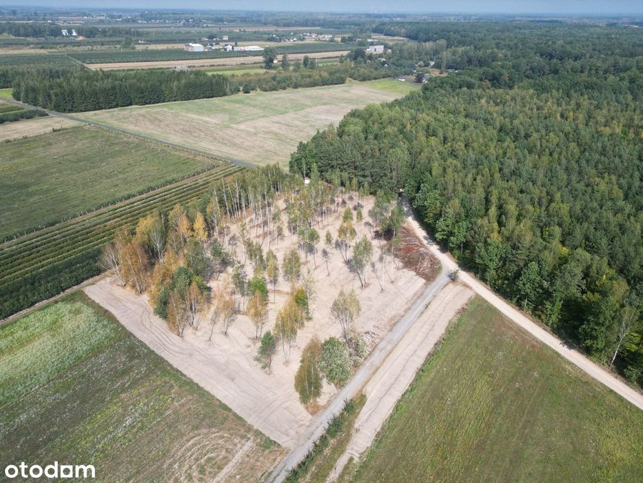 Wyjątkowe działki budowlane na sprzedaż|8 minut od Mszczonowa