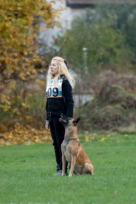 Дрессировка собак, кинолог