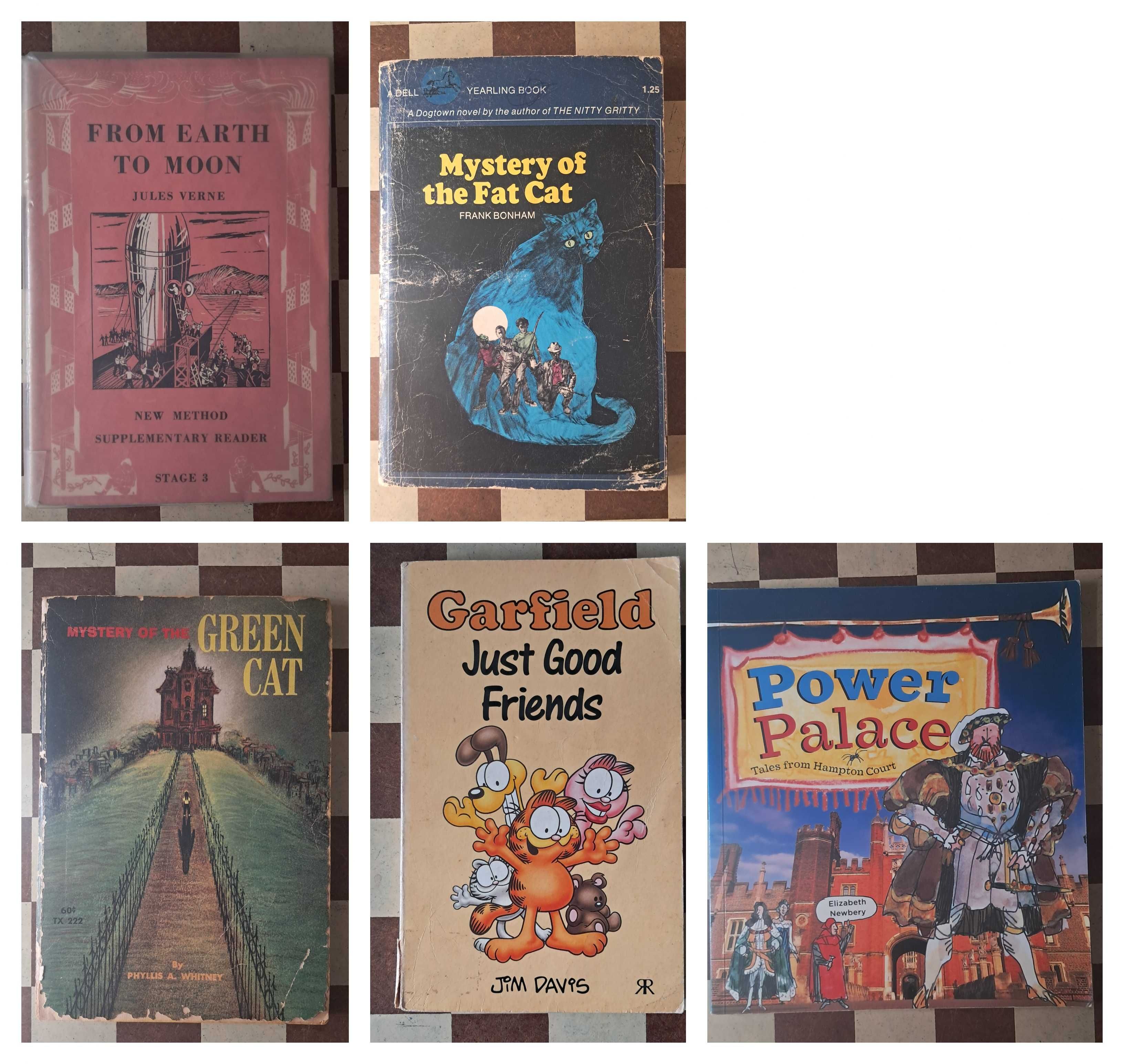 Conjunto lote 50 livros juvenis 20€ SÓ até domingo