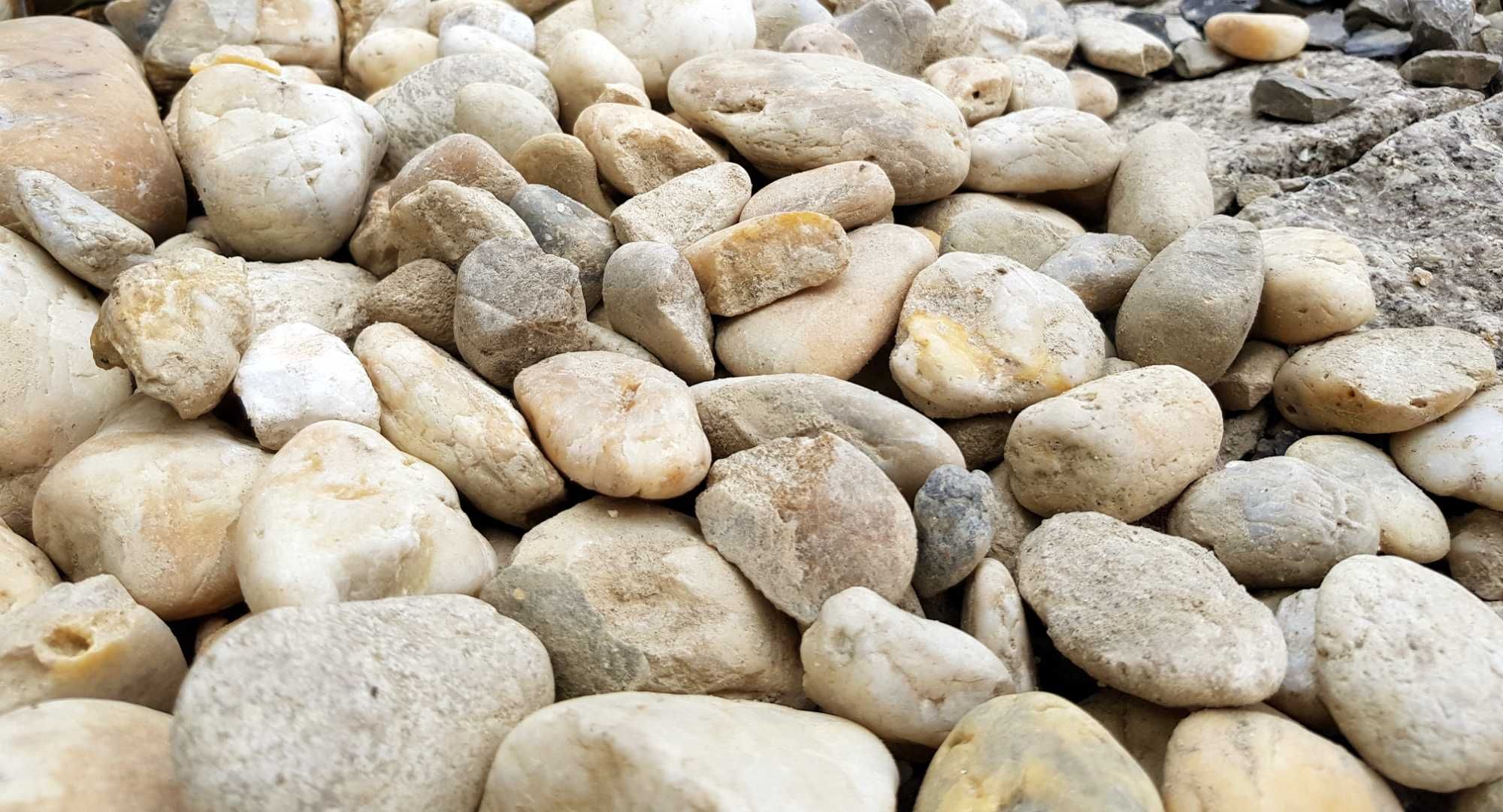 Żwir MIODOWY Biało Kremowy Super Kamień Do Ogrodu Grys ŚLĄSK TRANSPORT