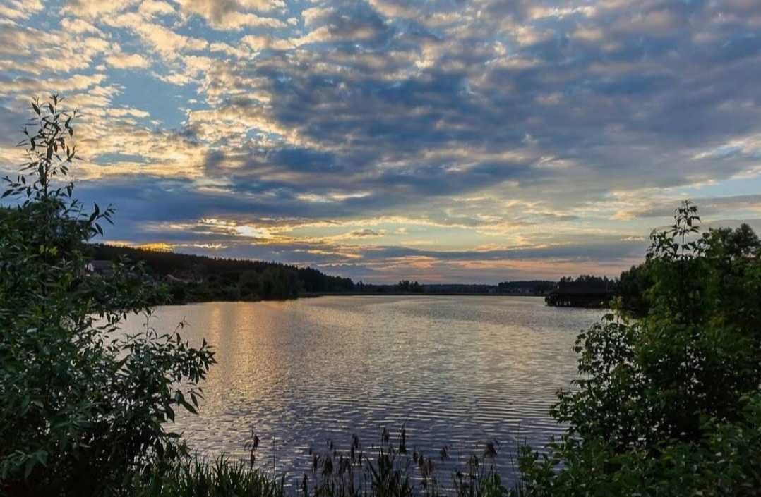 Віта поштова, район  Глейки. вул. Ярослава Мудрого. 15 соток  в лісі.
