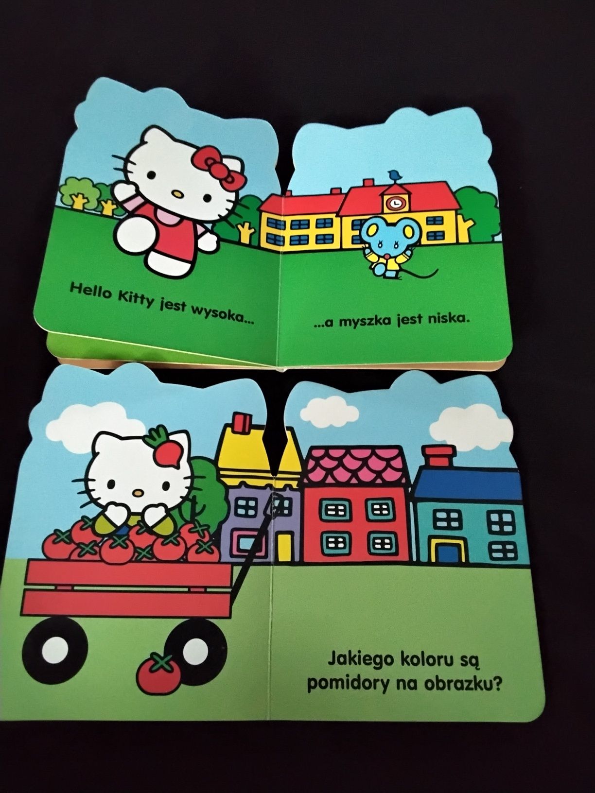 Książeczki z Hello Kitty