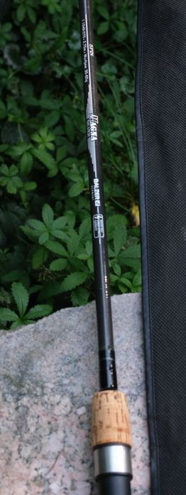 Spinning Balzer Magna Silver Spin 30-60 gr