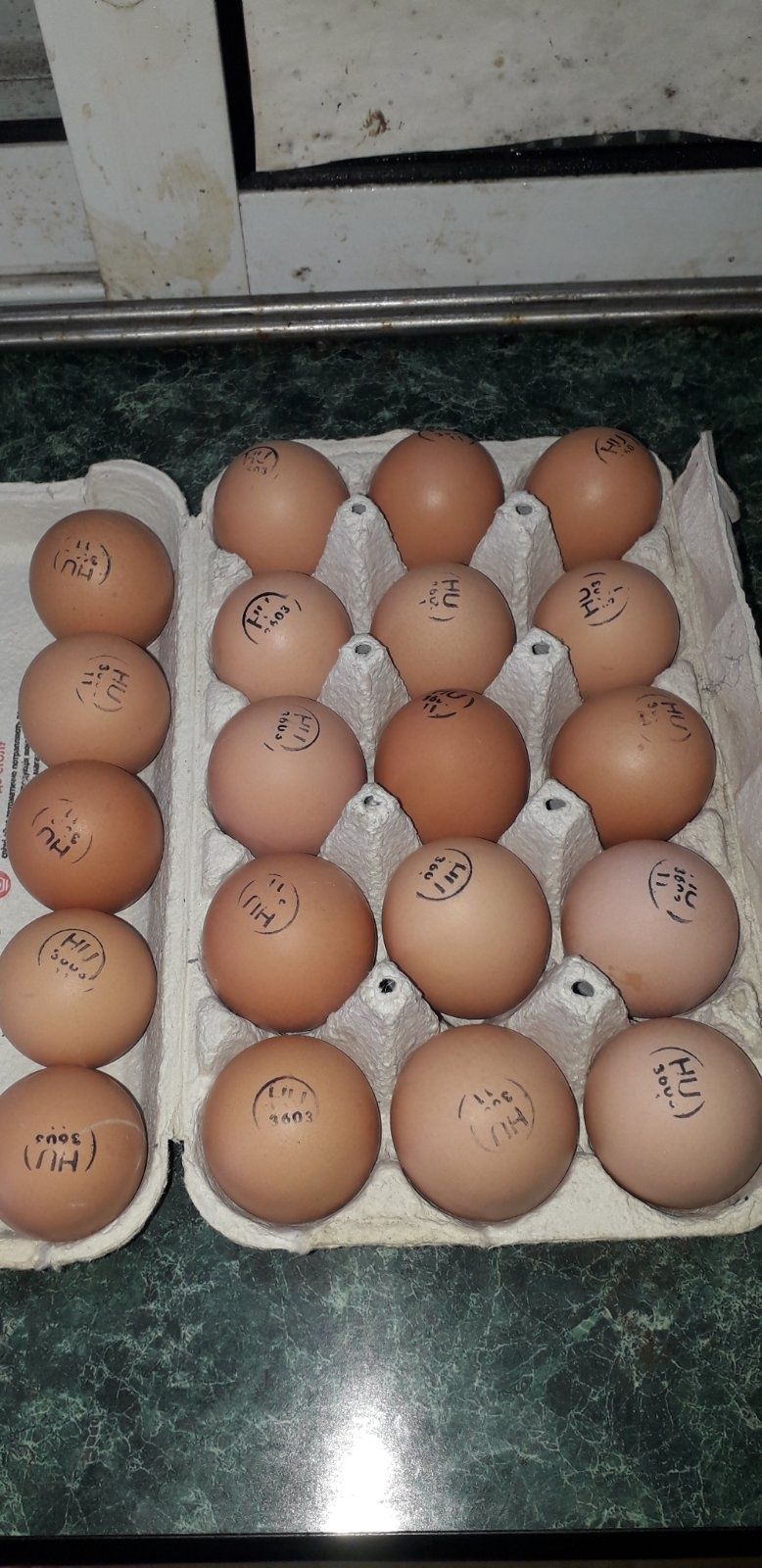 Яйце інкубаційне Ломан Браун