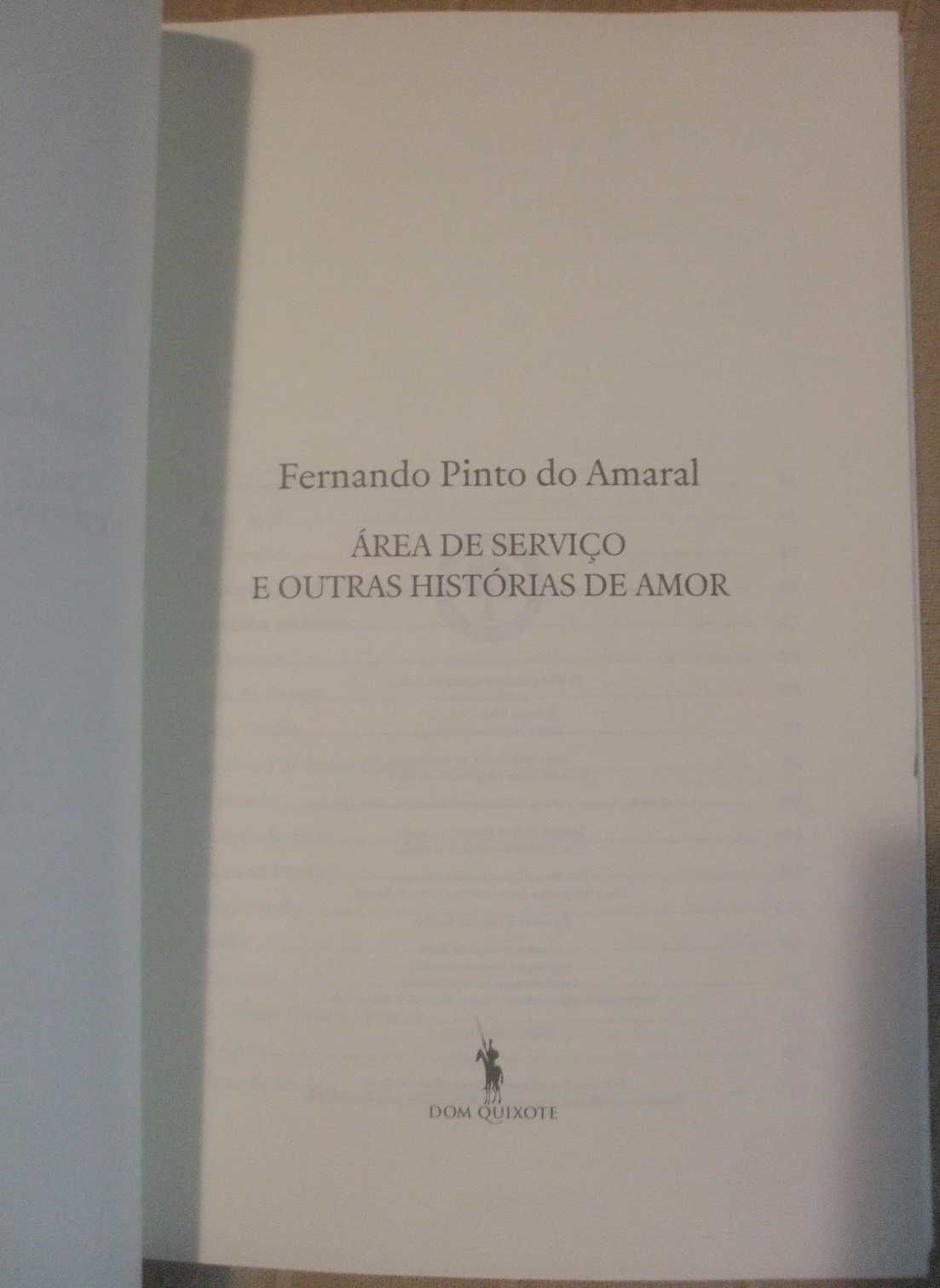 Área de serviço e outras histórias de amor, Fernando Pinto do Amaral