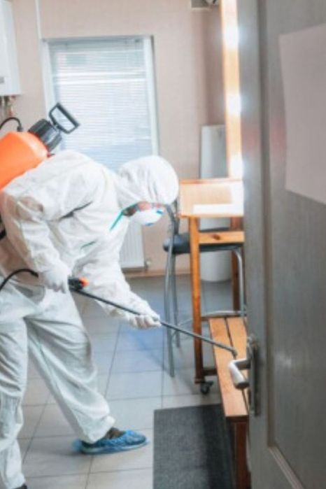 Травля Уничтожение Тараканов Клопов Блох Ос Уничтожить Травить Знищеты