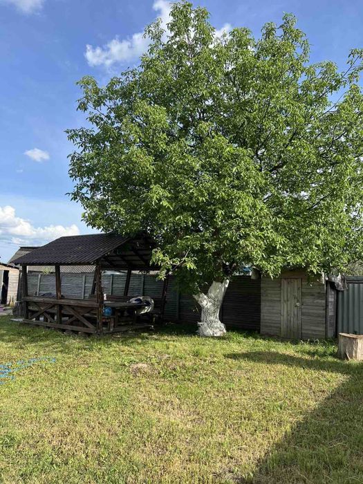 Продам дачу в с.Затишне