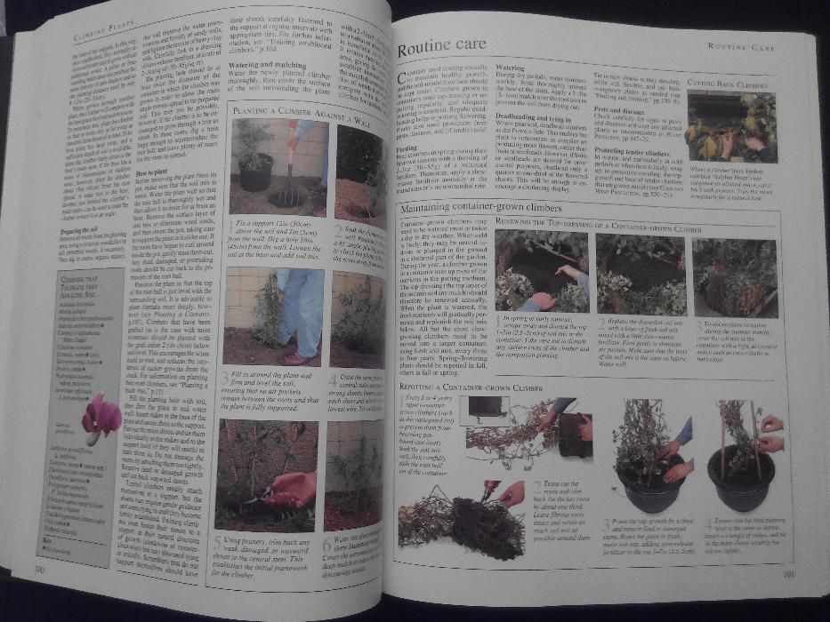 Livro raro - Practical Guide To Gardening In Canada