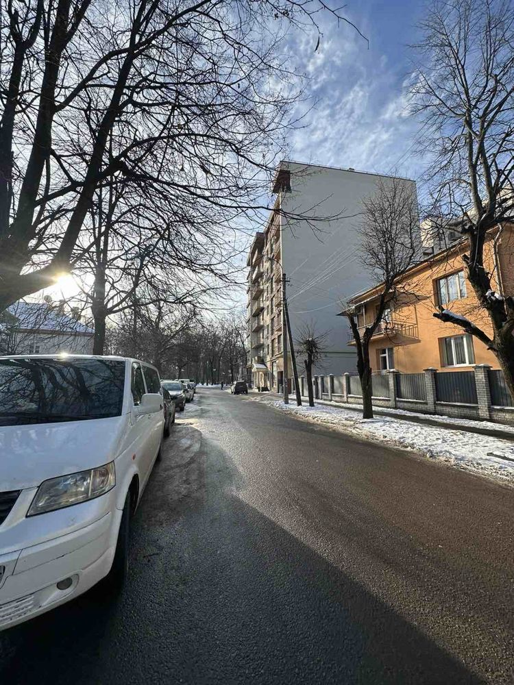 Оренда будинок центр вул. Гриневичів 2, бічна вул. Василянок