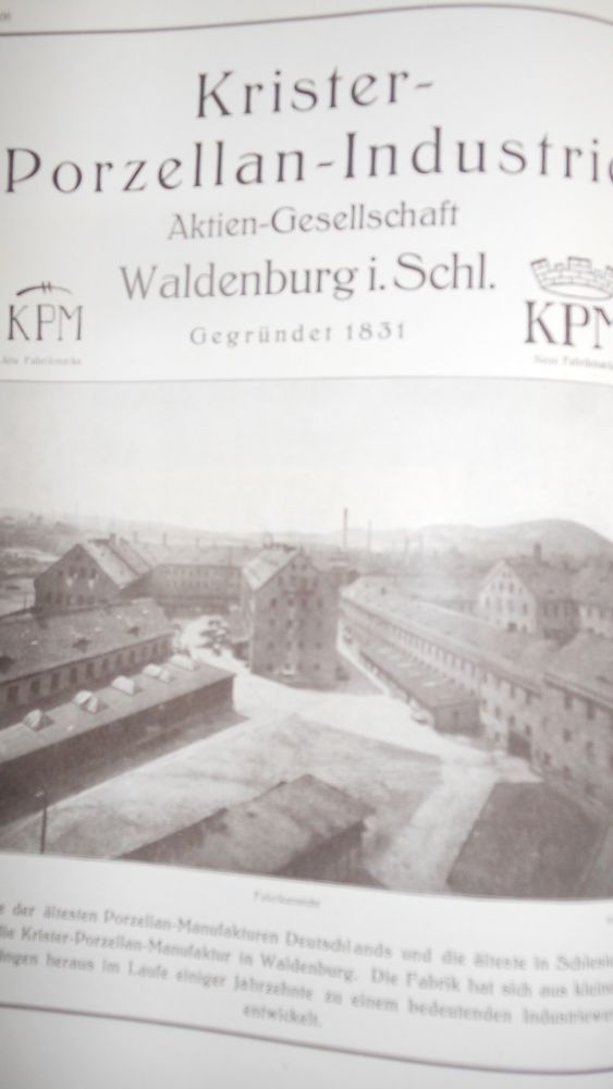 Das Buch der Stadt Waldenburg in Schlesien