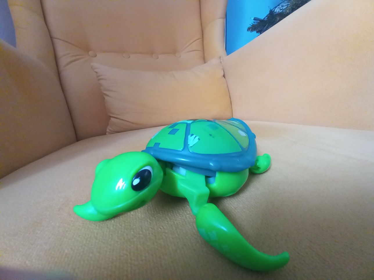 Żółwik zabawka do kąpieli