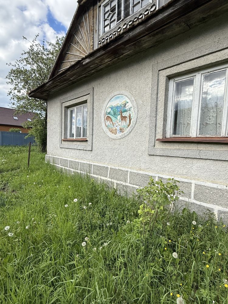 Продається будинок з ділянкою 14 сотих у горах Закарпаття